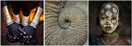 Студентка Марангони Francesca Berti - дизайн проект (1)